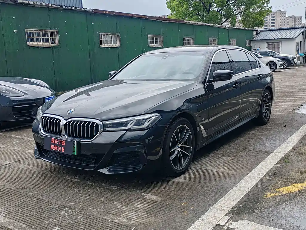 BMW 5 Series New Energy 2021
