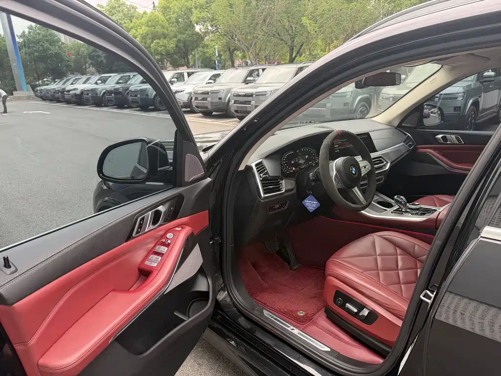 BMW X5 — миниатюра 10