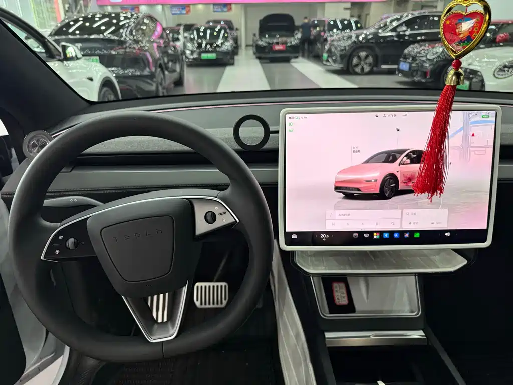 Tesla Model Y — миниатюра 17