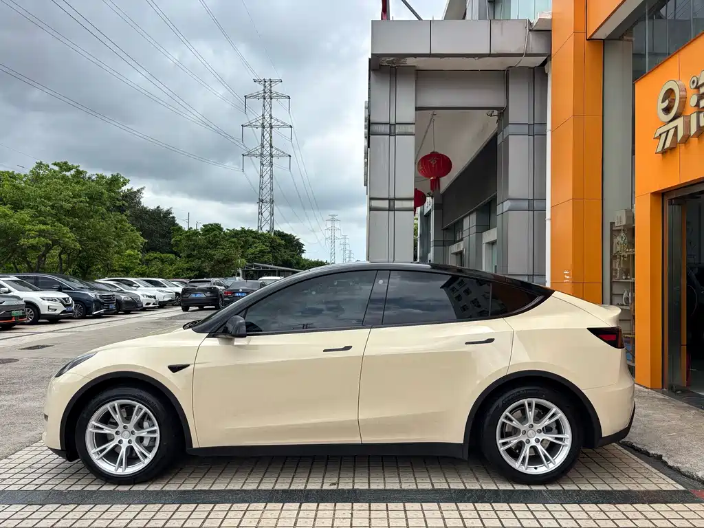 Tesla Model Y — миниатюра 9