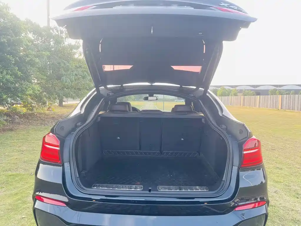 BMW X4 — миниатюра 21