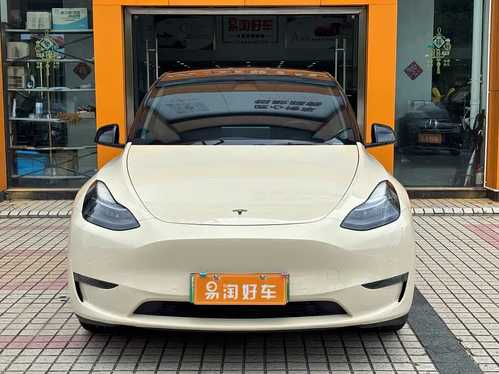 Tesla Model Y — миниатюра 2