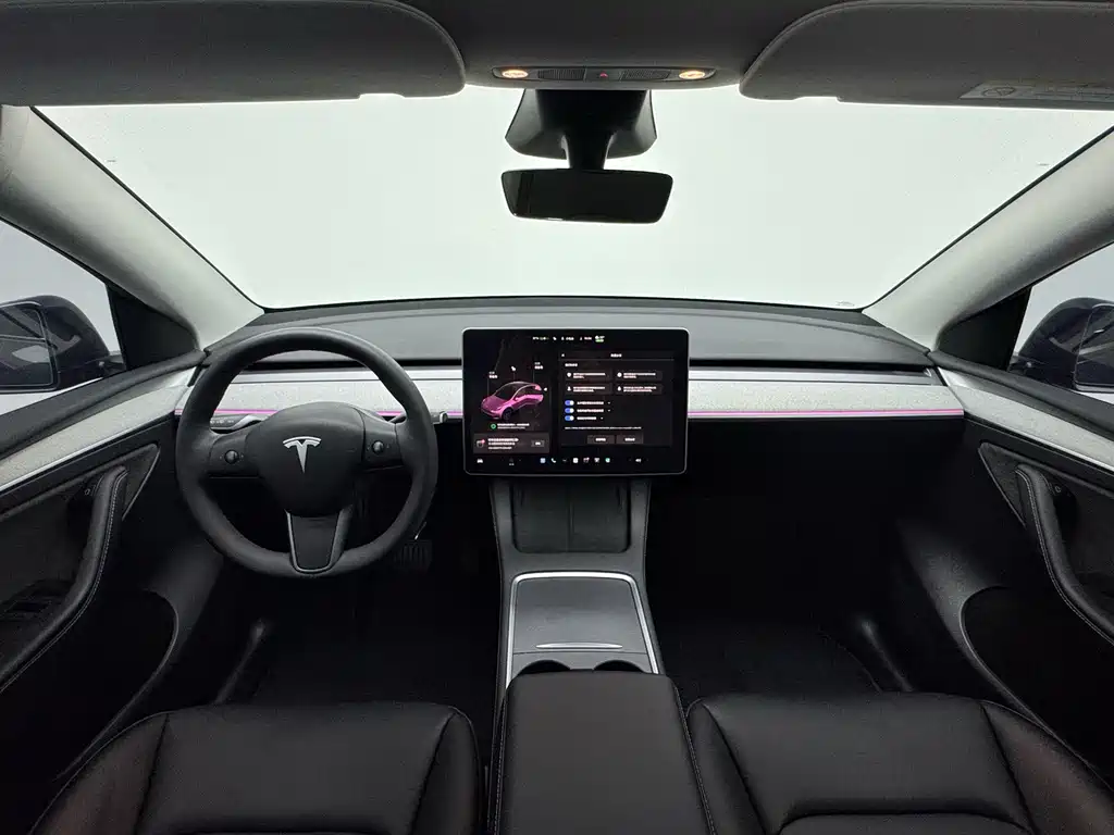 Tesla Model Y — миниатюра 15