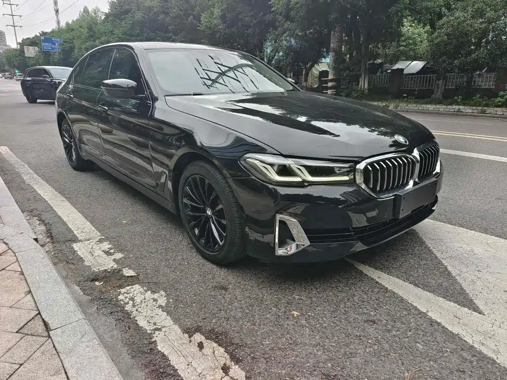 BMW 5 Series — миниатюра 3