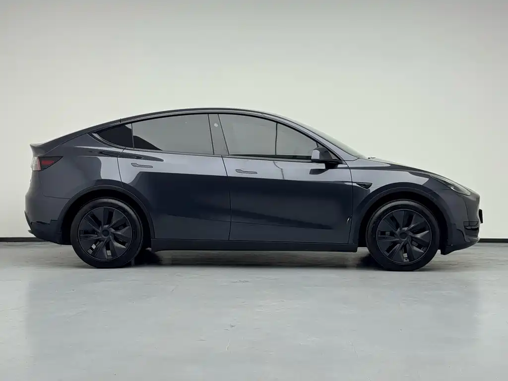 Tesla Model Y — миниатюра 7