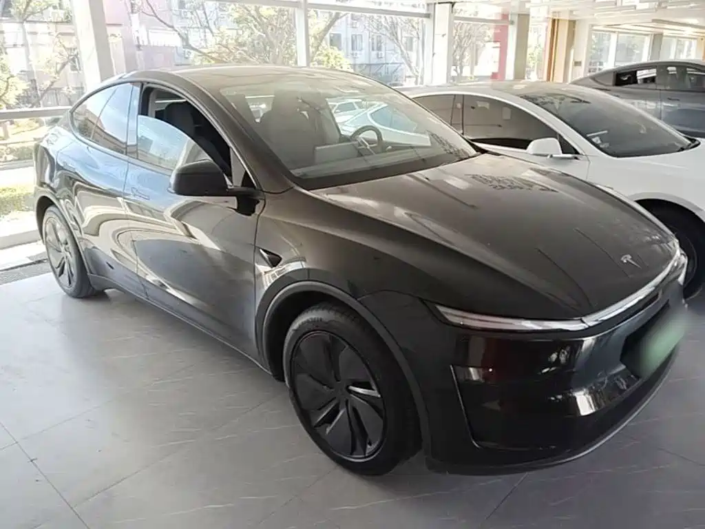 Tesla Model Y — миниатюра 4