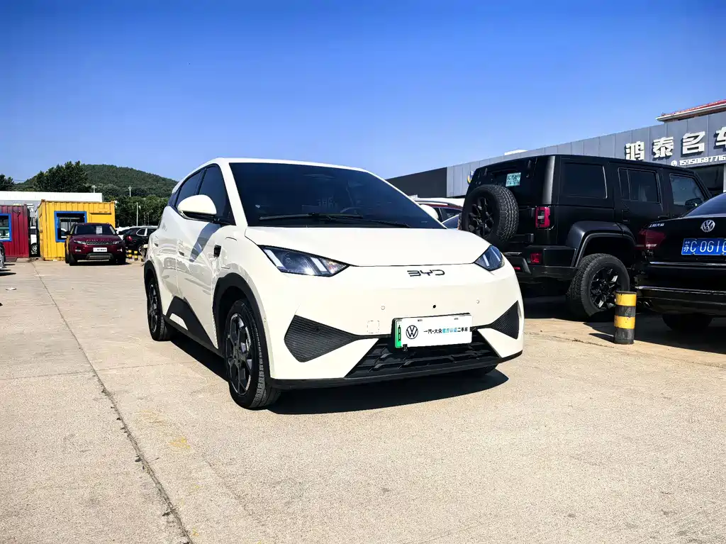BYD Seagull 2025 Smart Drive 305km Freedom