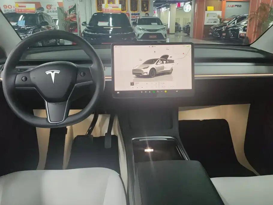 Tesla Model Y — миниатюра 12