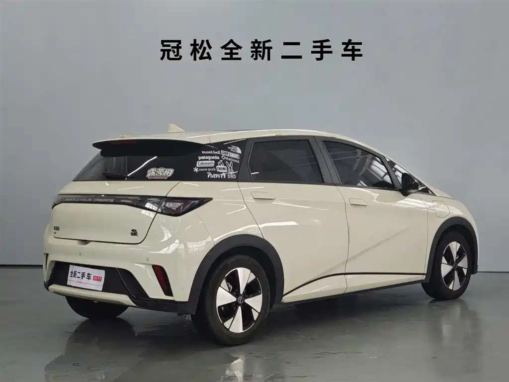 BYD Dolphin 2023 420km Fashion
