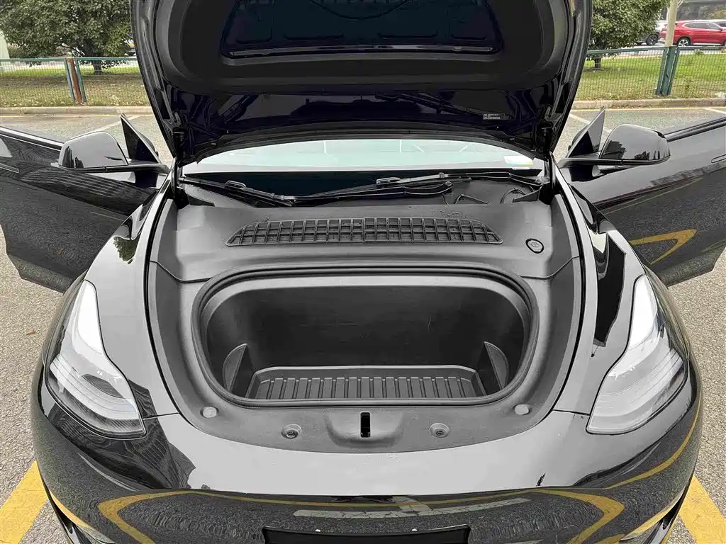 Tesla Model Y — миниатюра 29