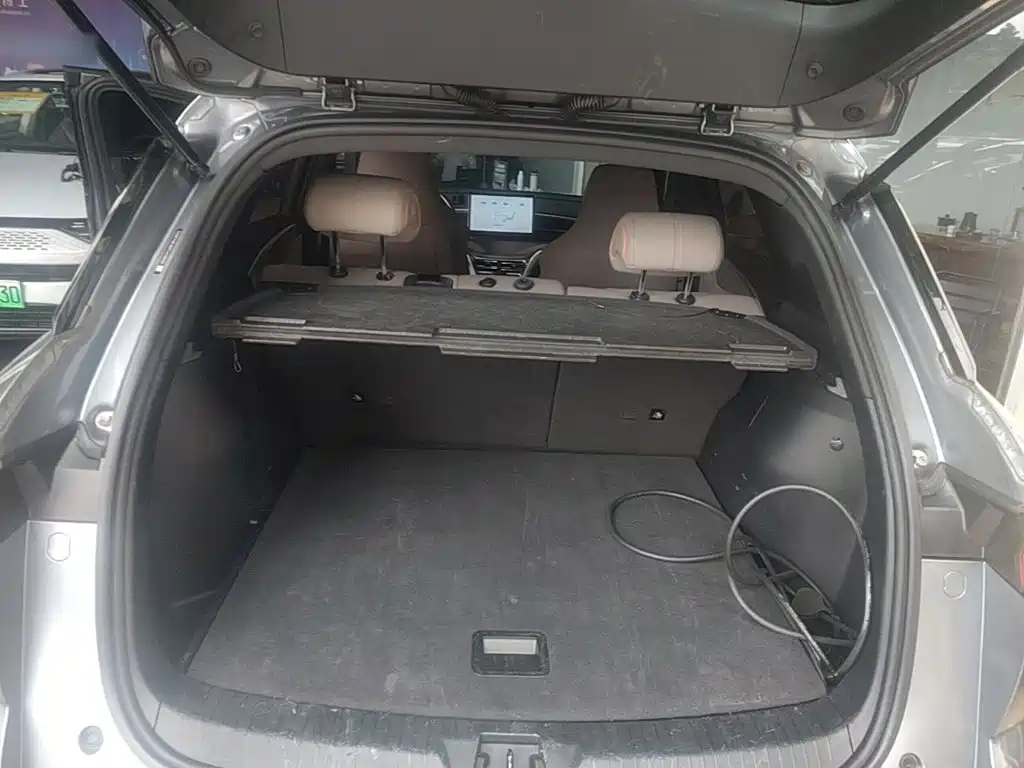 BYD Pro New Energy — миниатюра 19