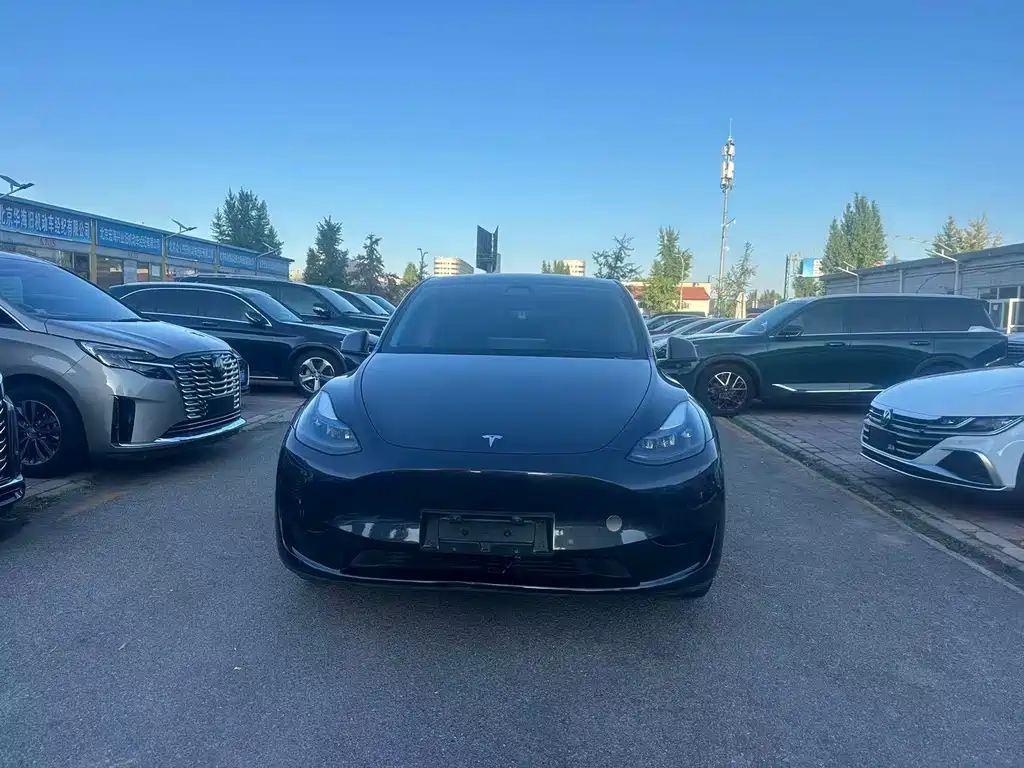 Tesla Model Y — миниатюра 2