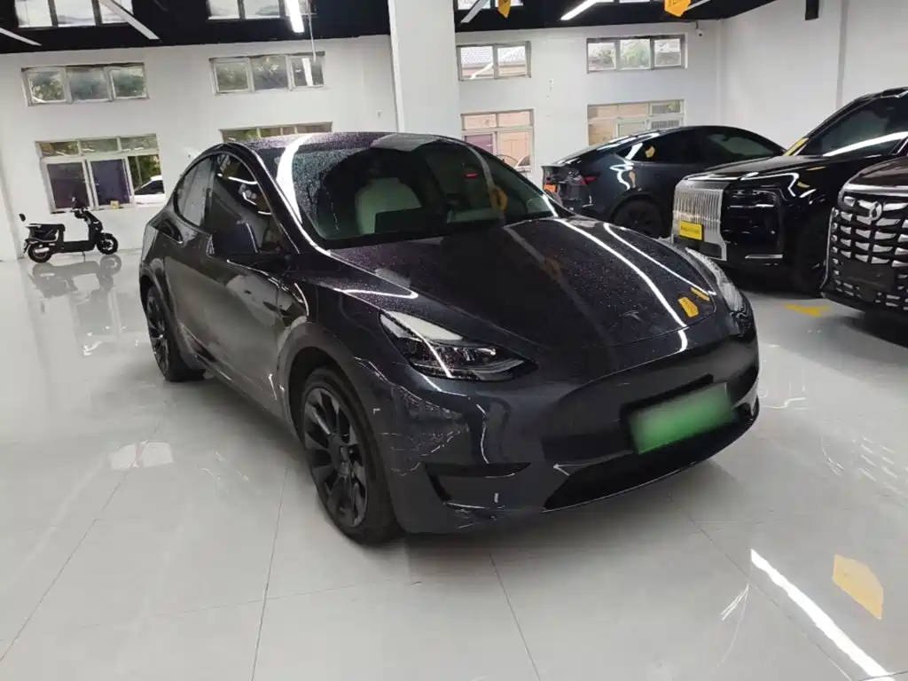 Tesla Model Y — миниатюра 4