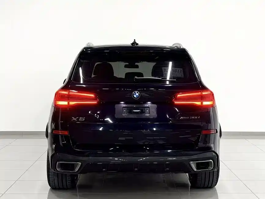 BMW X5 2022 xDrive 30Li M Sport