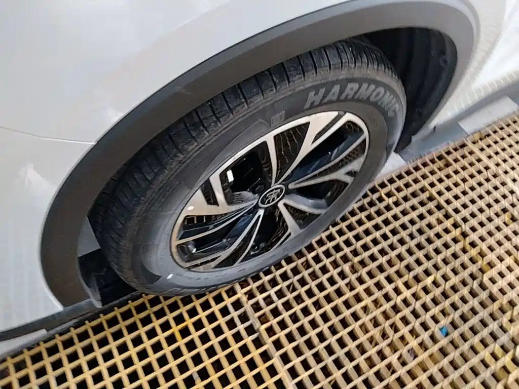 BYD Pro New Energy — миниатюра 23