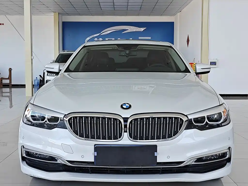 BMW 5 Series 5 2019 525Li Luxury