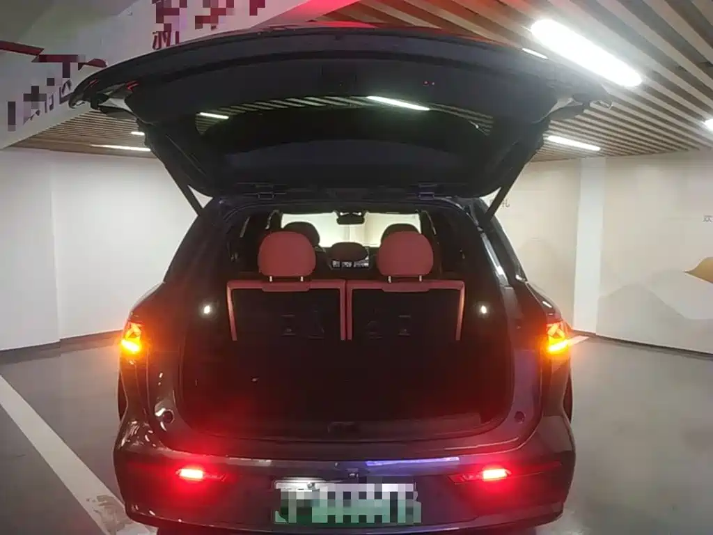 BYD Дон Л. — миниатюра 19