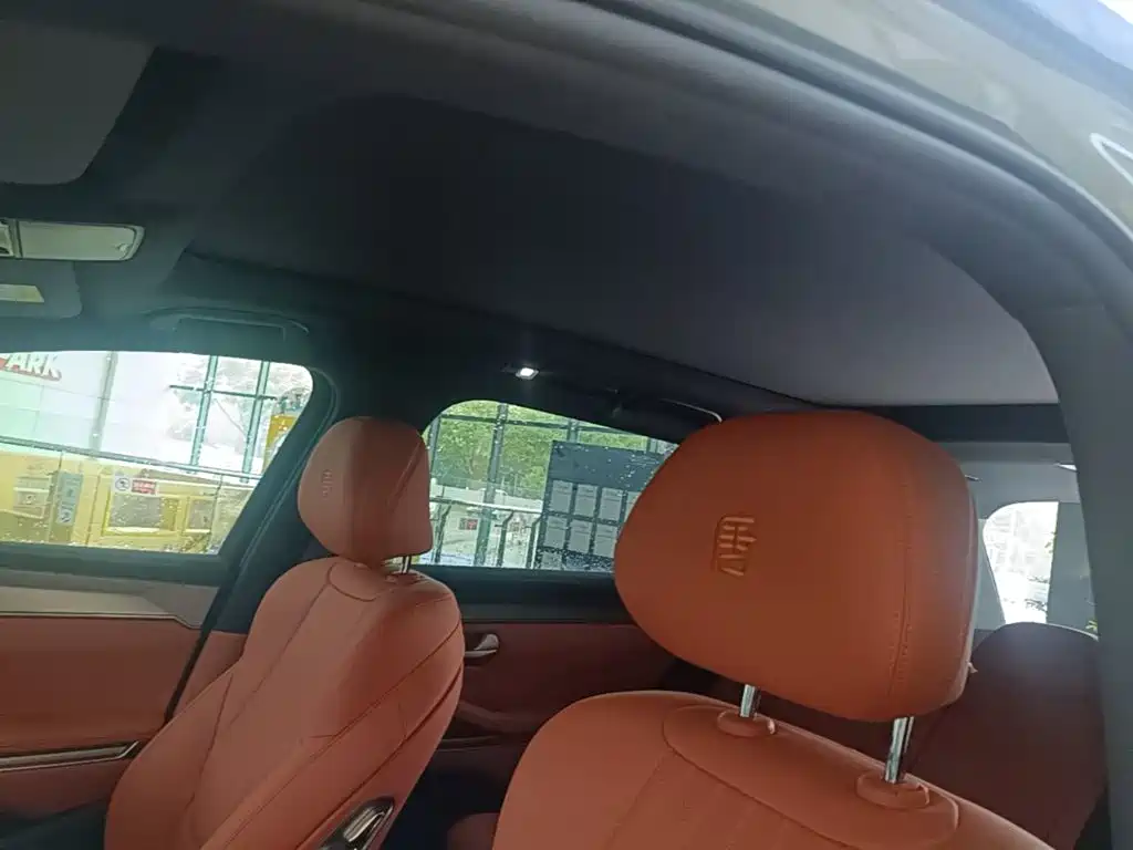BYD Дон Л. — миниатюра 14