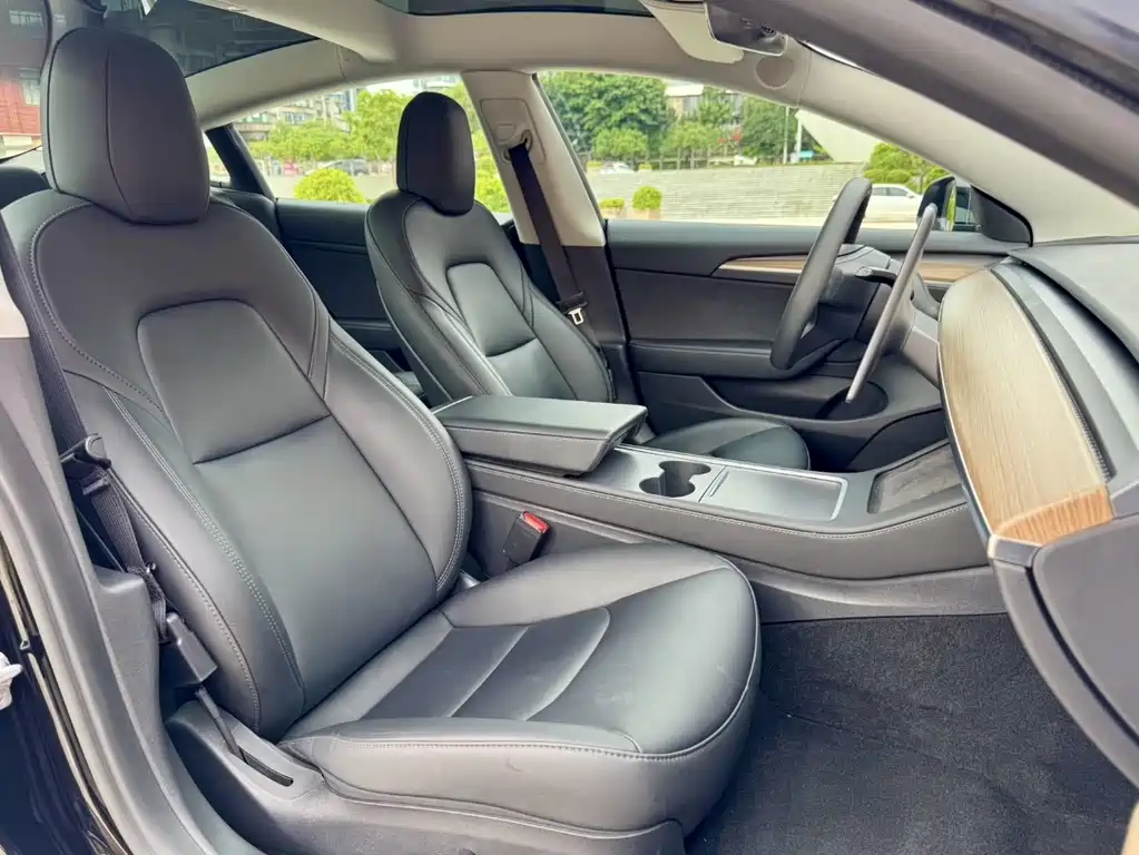 Tesla Model 3 — миниатюра 19