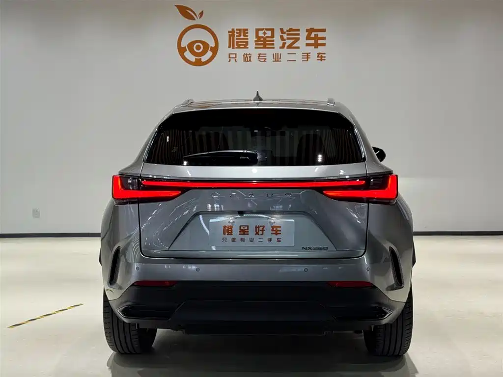 Lexus NX — миниатюра 5
