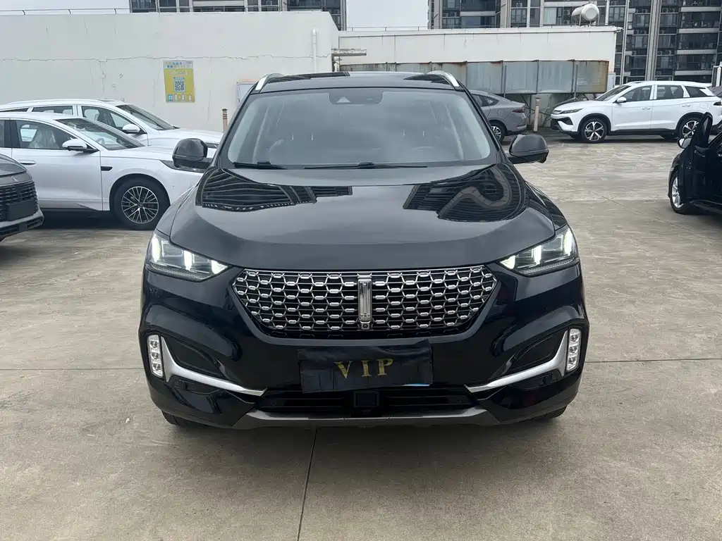 Wey Wey VV6 — миниатюра 2
