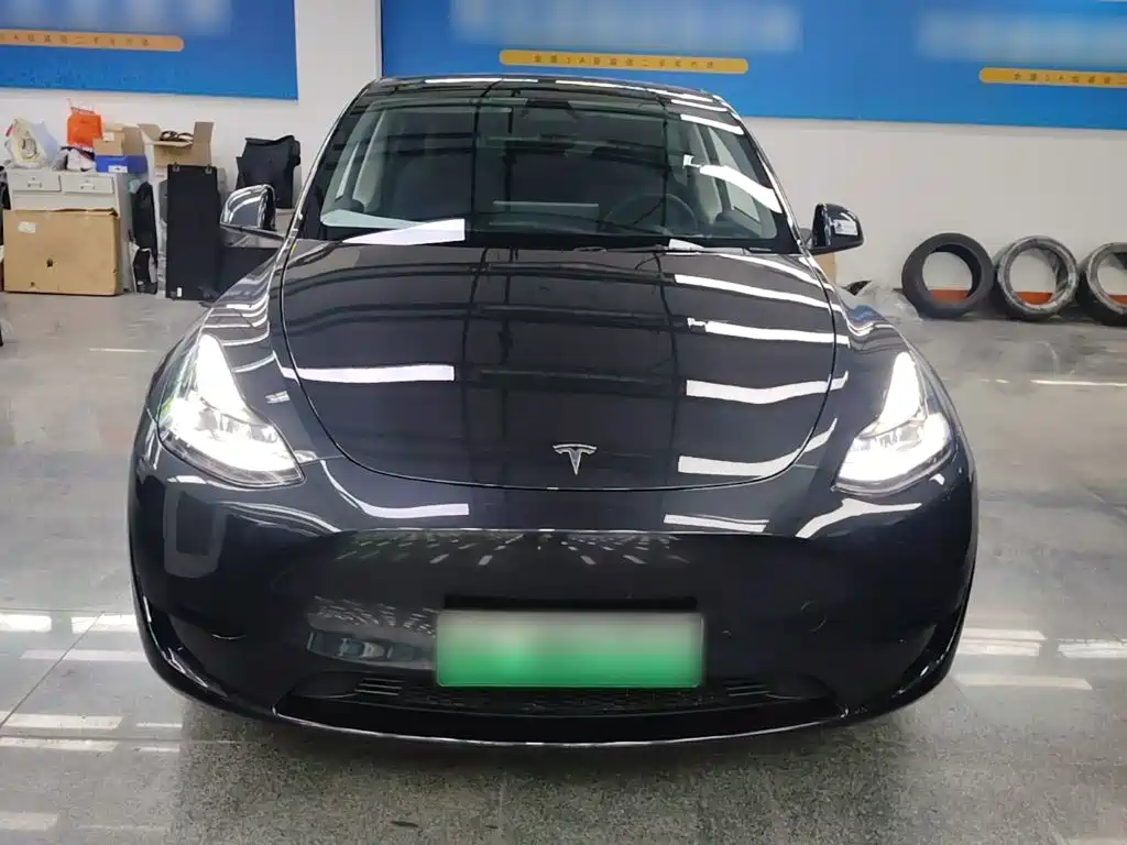 Tesla Model Y — миниатюра 3