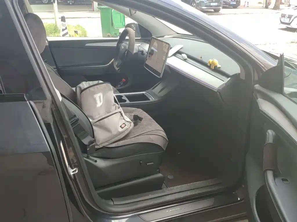 Tesla Model Y — миниатюра 25