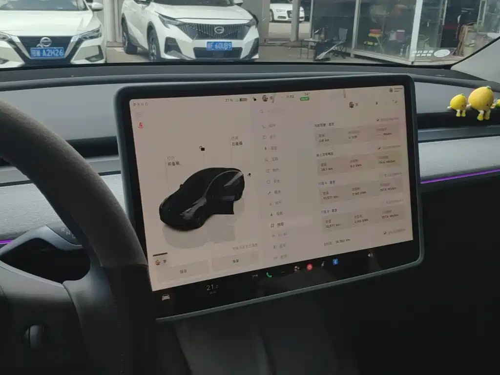 Tesla Model Y — миниатюра 13