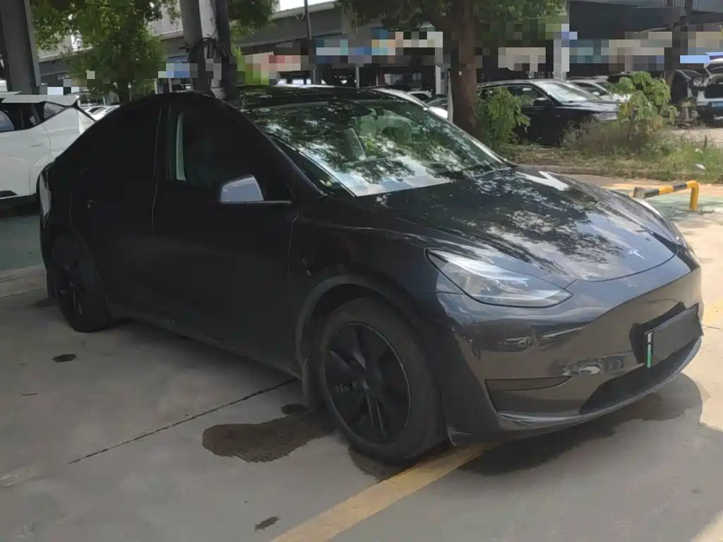 Tesla Model Y — миниатюра 4
