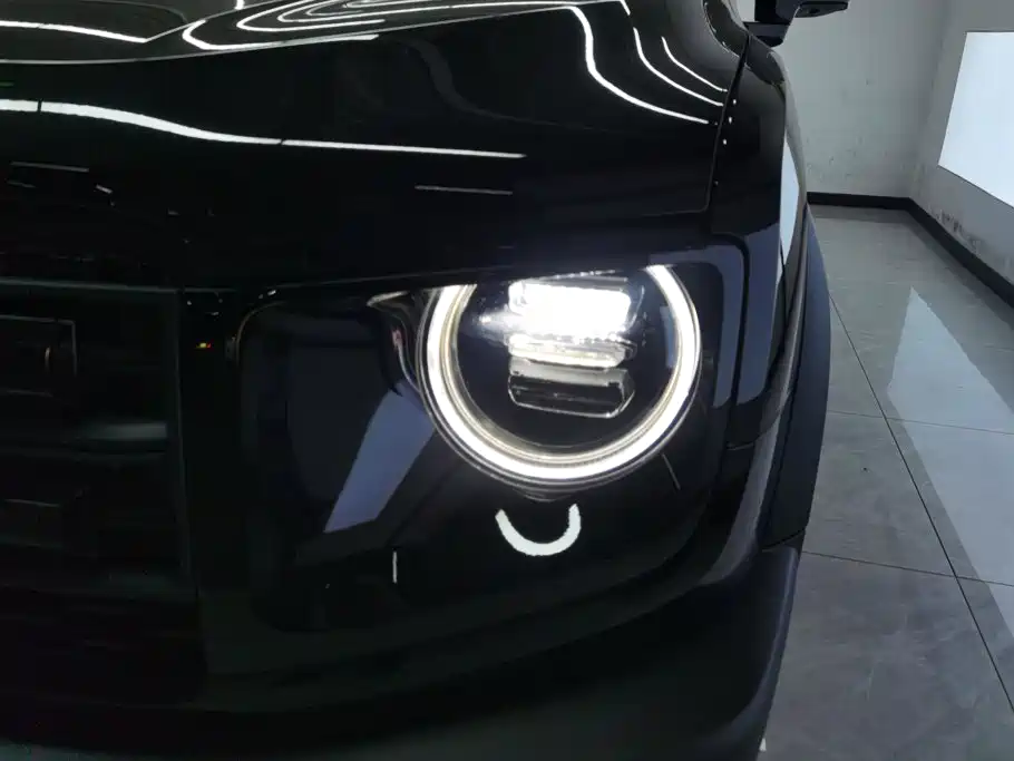 Haval Big Dog — миниатюра 5