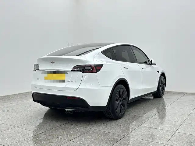 Tesla Model Y — миниатюра 6