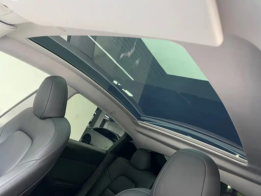 Tesla Model Y — миниатюра 15