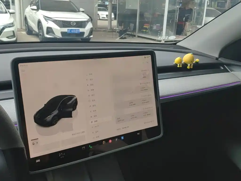 Tesla Model Y — миниатюра 10