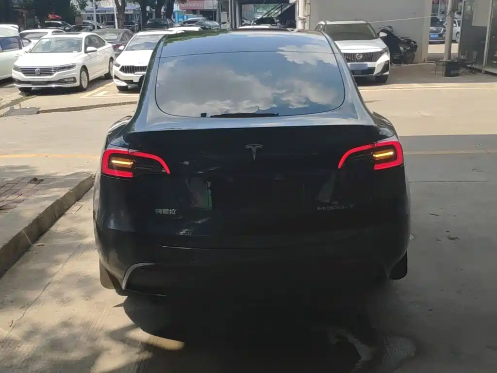 Tesla Model Y — миниатюра 6