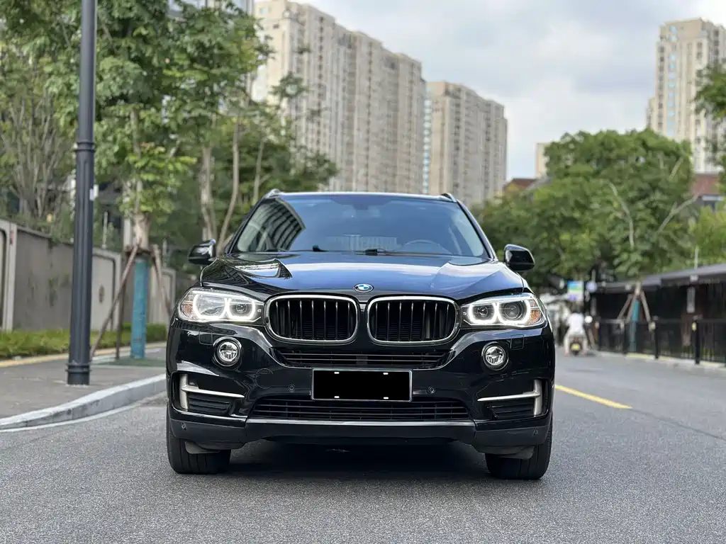BMW X5 (Import) — миниатюра 2