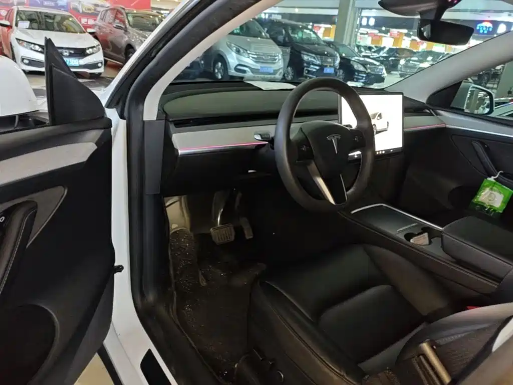 Tesla Model Y — миниатюра 16