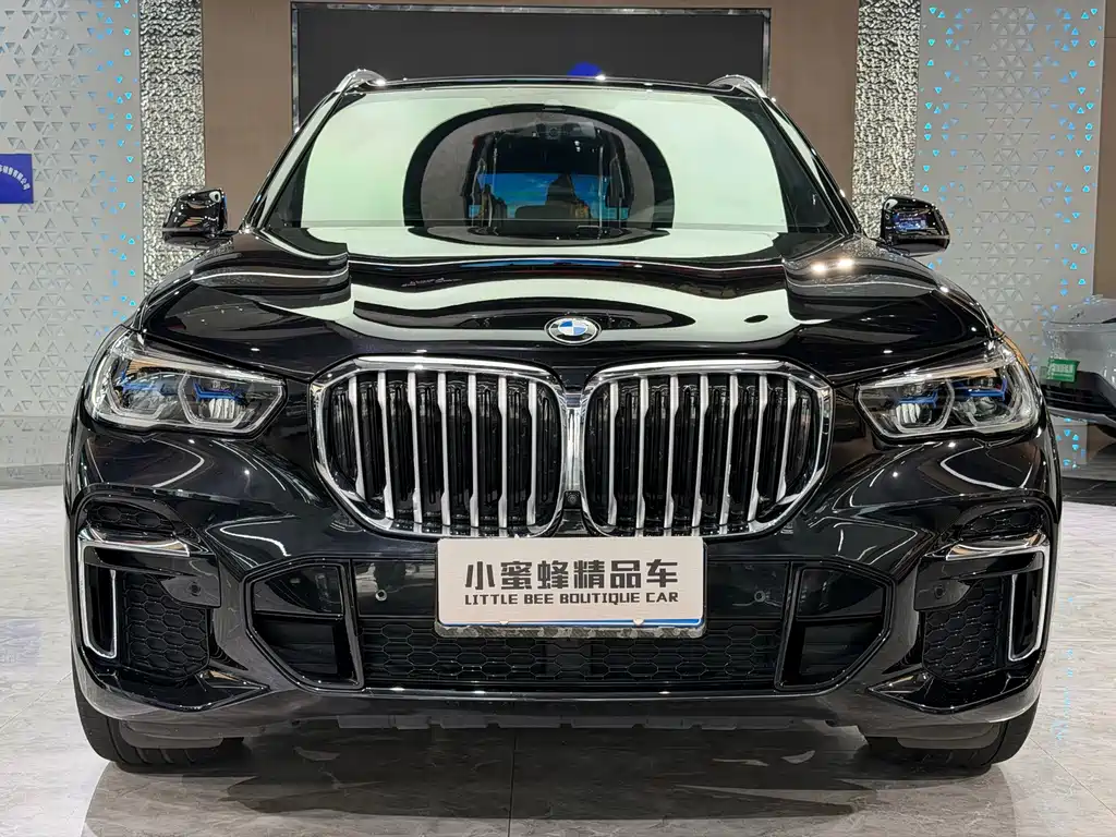 BMW X5 — миниатюра 2