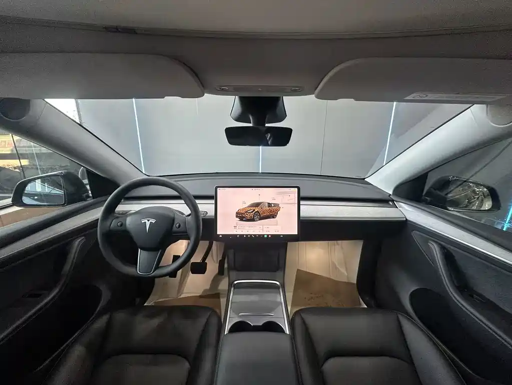Tesla Model Y — миниатюра 9