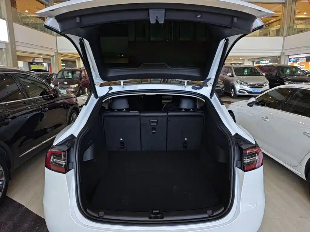 Tesla Model Y — миниатюра 19