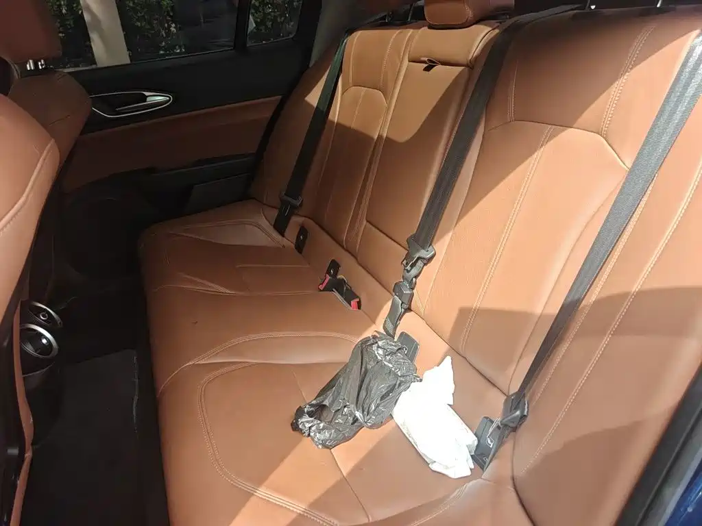 Alfa Romeo Giulia — миниатюра 13