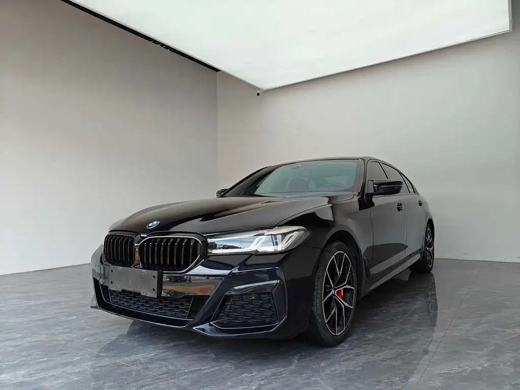 Купить BMW 5 Series
