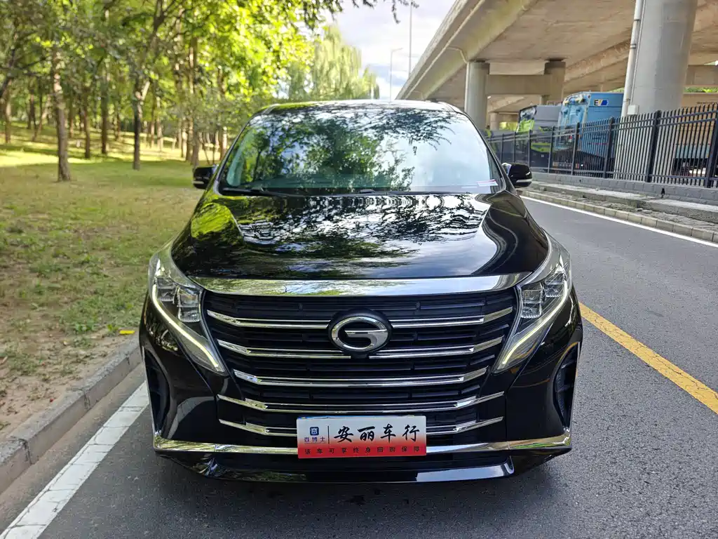 GAC Motor Trumpchi M8 — миниатюра 3