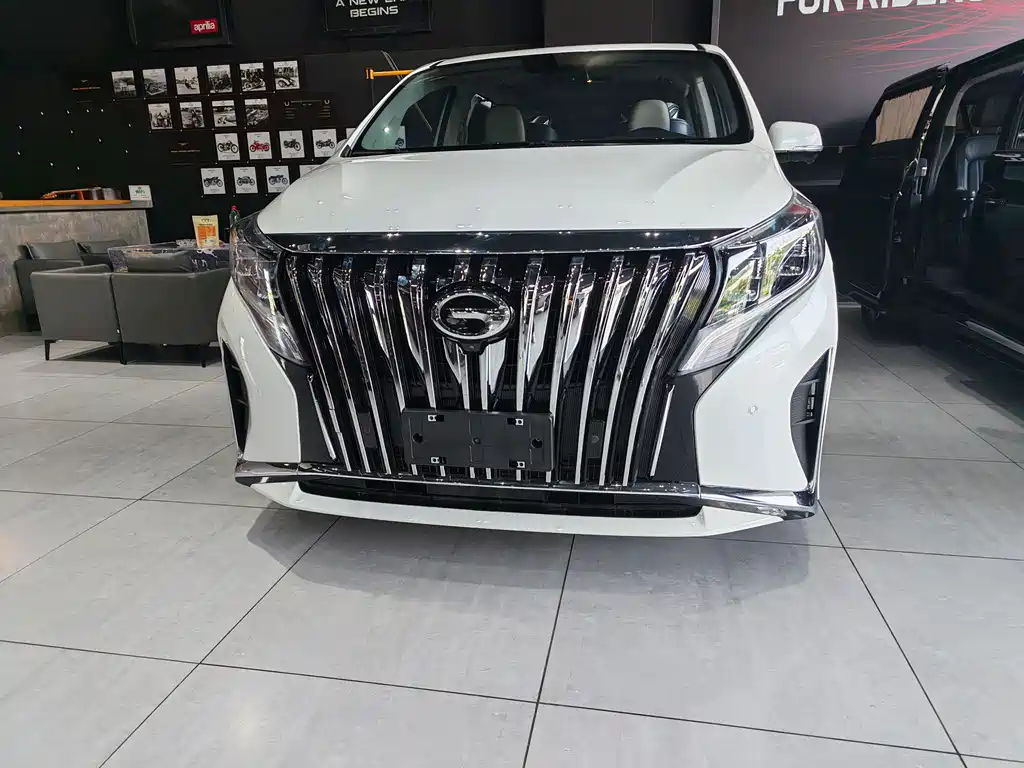 2021 GAC GN8 - zdjęcie 1 z 40