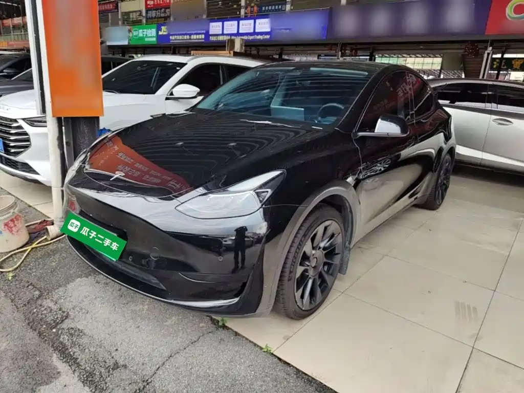 Tesla Model Y — миниатюра 2