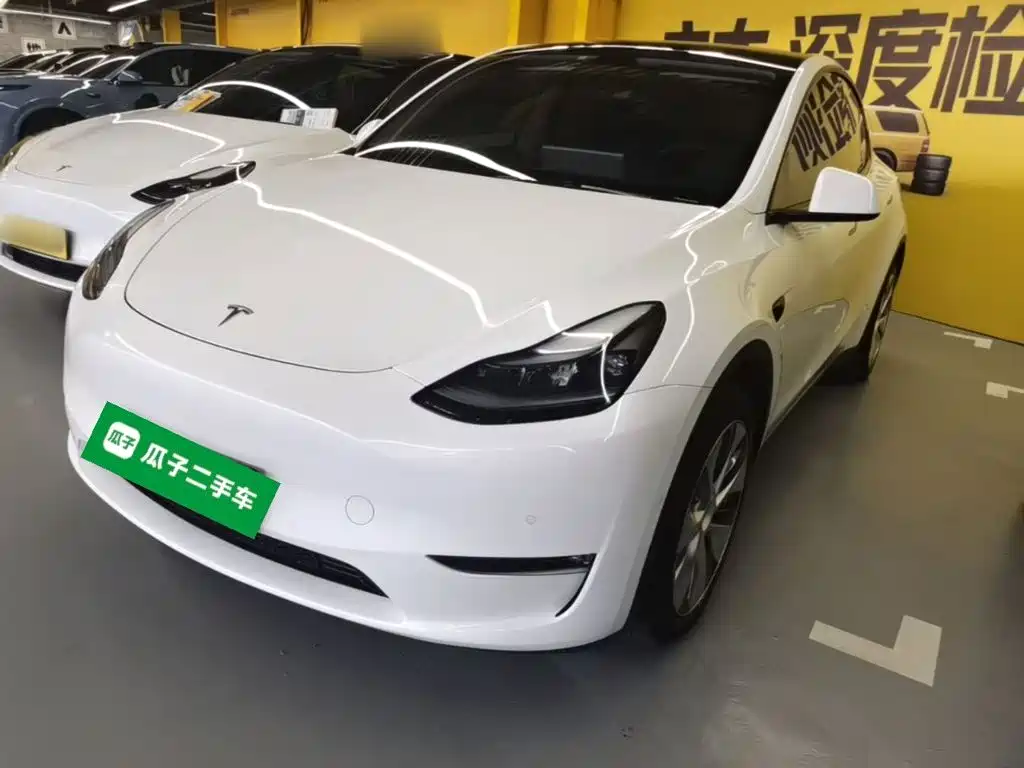 Tesla Model Y — миниатюра 2