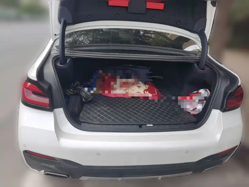 BMW 5 Series New Energy — миниатюра 15