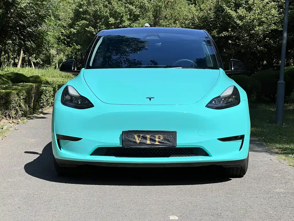 Tesla Model Y — миниатюра 2