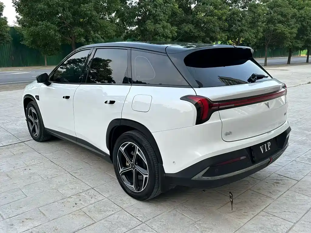 Neta L 2024 310