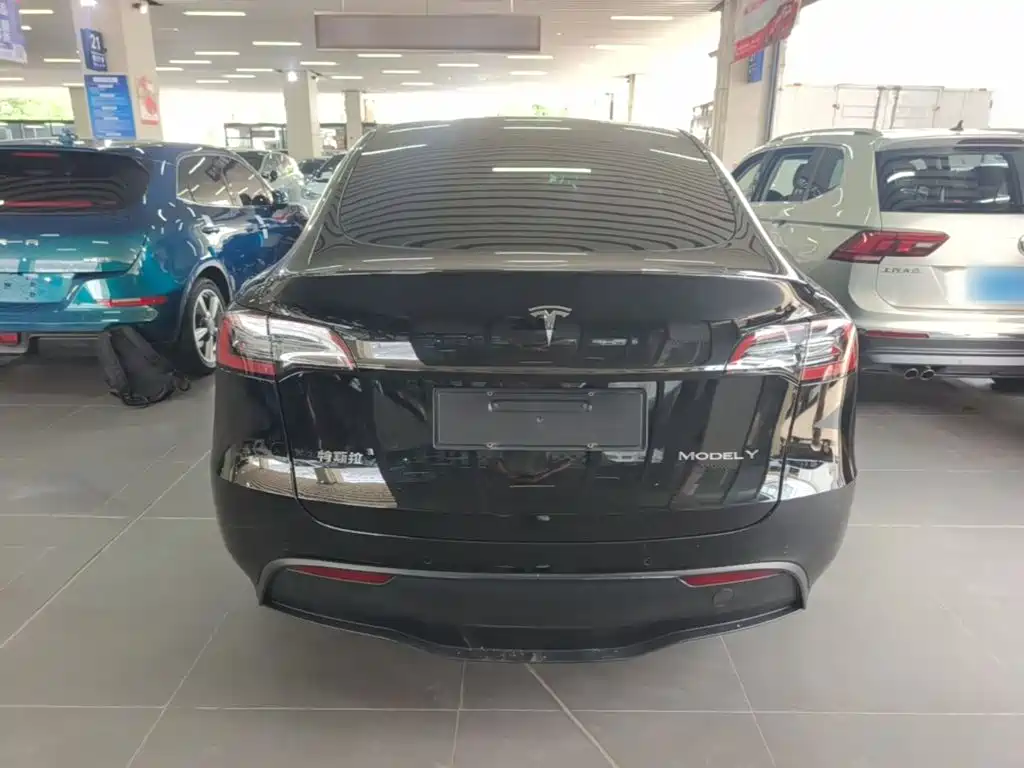 Tesla Model Y — миниатюра 6