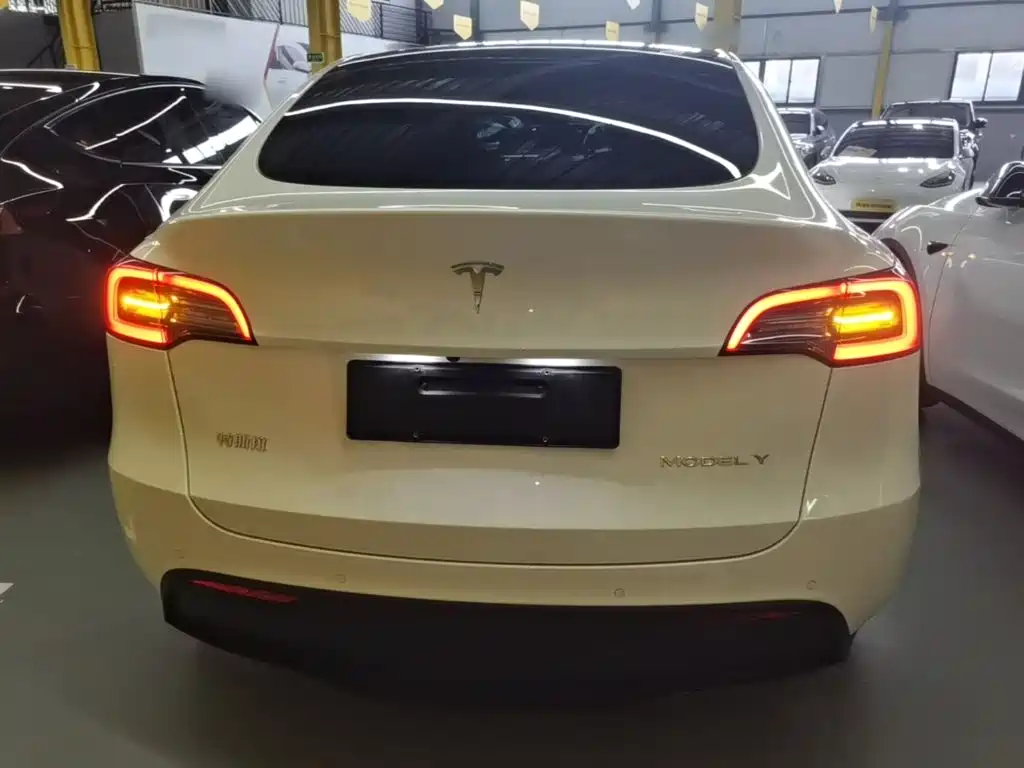 Tesla Model Y — миниатюра 6